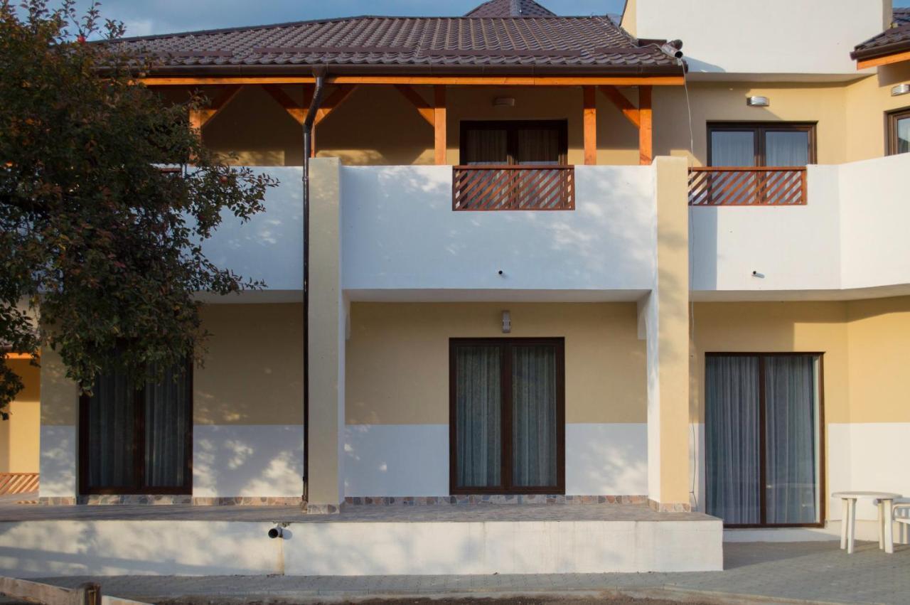 Pensiune Casa Ampeia ألبا يوليا المظهر الخارجي الصورة
